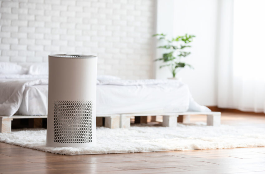  Purchasing an Air Purifier? Here’s What You Need to Know